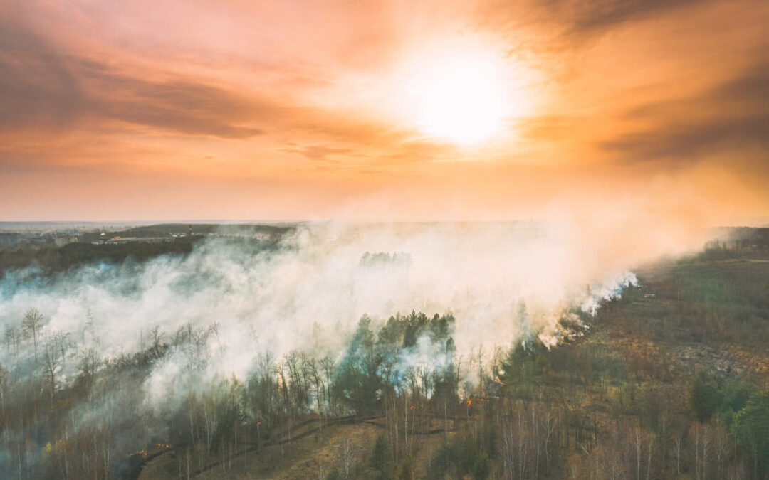 What to Do If your Storage Unit is Affected by a Natural Disaster